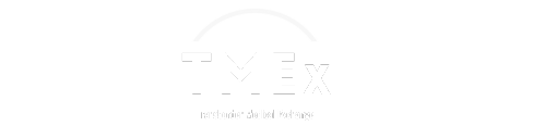 TMEx：Transborder Medical Exchange